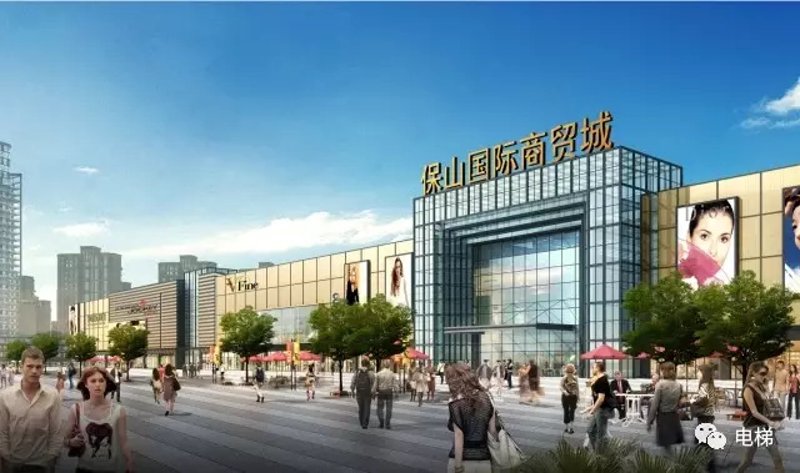 为什么黄瓜树上有这么多蚂蚁？